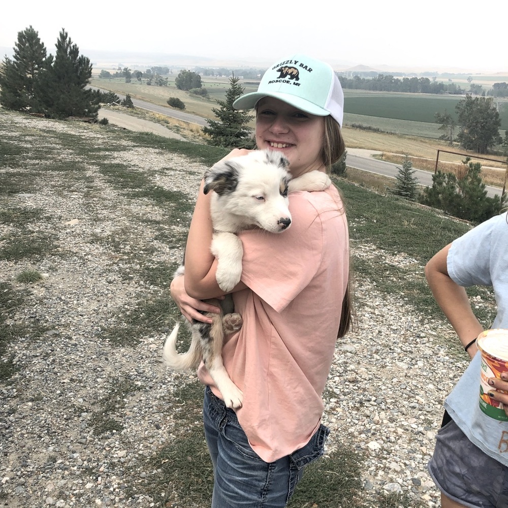 Meet your Posher, Alli